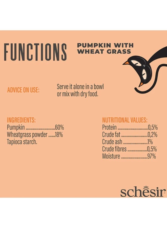 شيسر شيزر (Schesir) "فانكشنز" فاتح شهية لدعم الهضم للقطط الحساسة – اليقطين مع عشب القمح – مكمل غذائي سائل خالي من الحبوب – 40 جم (عبوة من 4 قطع) - Image 4